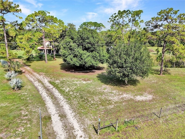 view of yard featuring driveway