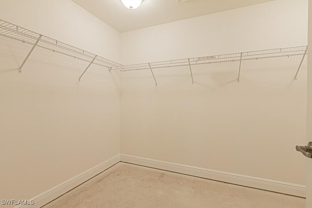 view of spacious closet