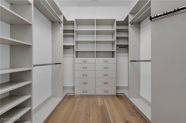 spacious closet with light hardwood / wood-style floors