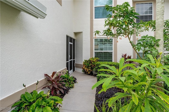 property entrance with stucco siding