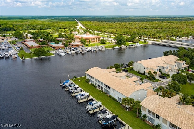 bird's eye view featuring a water view and a wooded view