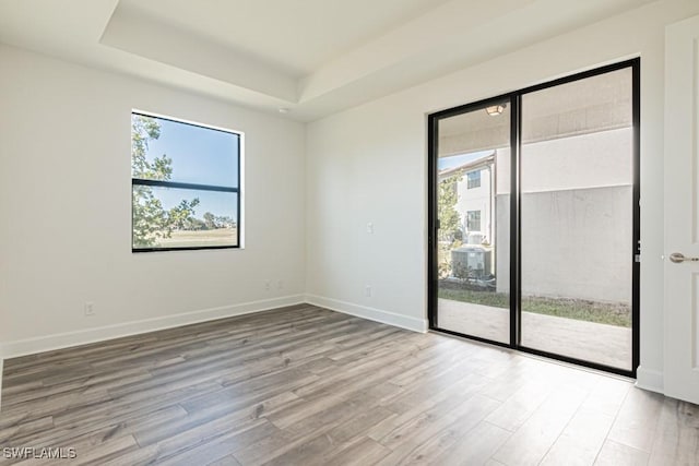 unfurnished room with wood-type flooring, a raised ceiling, and plenty of natural light