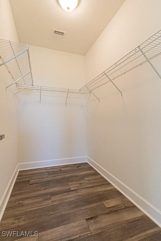 walk in closet featuring dark hardwood / wood-style floors