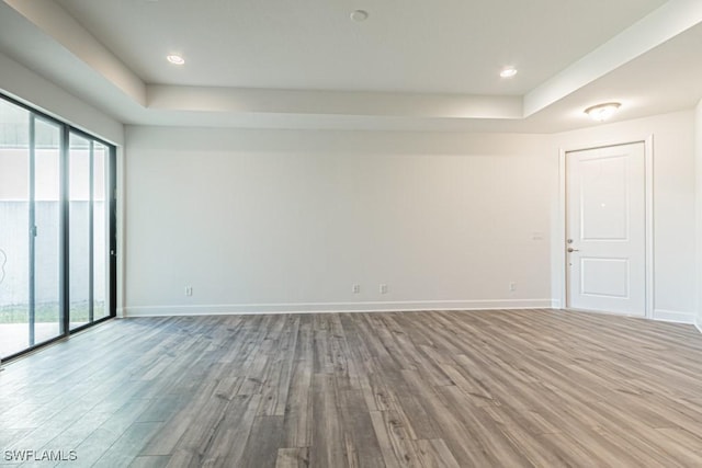 spare room featuring wood-type flooring and a raised ceiling