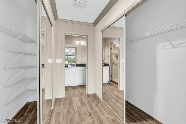 spacious closet with light hardwood / wood-style flooring