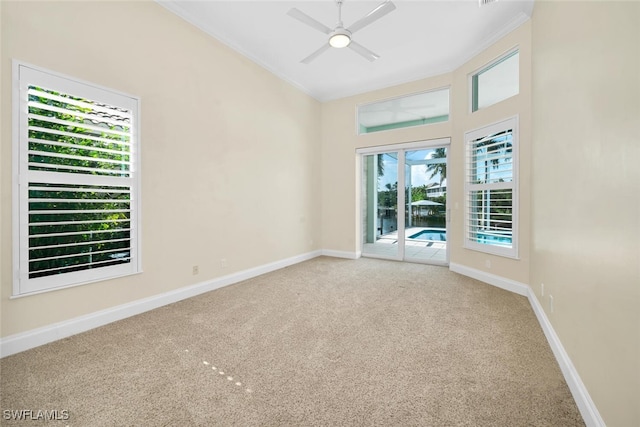 unfurnished room with ceiling fan and carpet