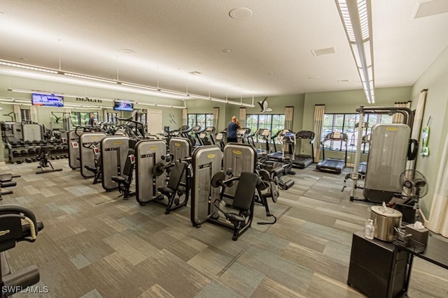 workout area with carpet flooring