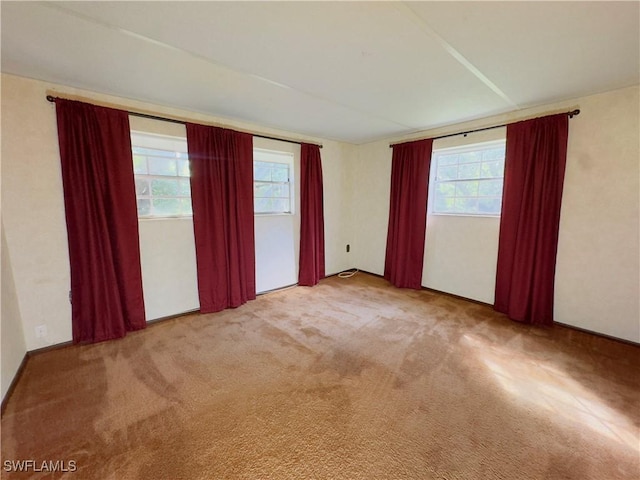 spare room with carpet floors