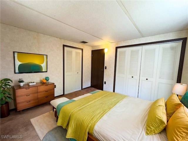 carpeted bedroom with two closets