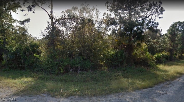 1230 Ramus St E, Lehigh Acres FL, 33974 land for sale