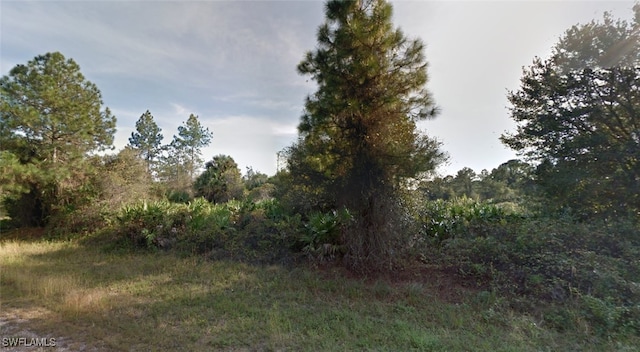 Listing photo 2 for 1230 Ramus St E, Lehigh Acres FL 33974