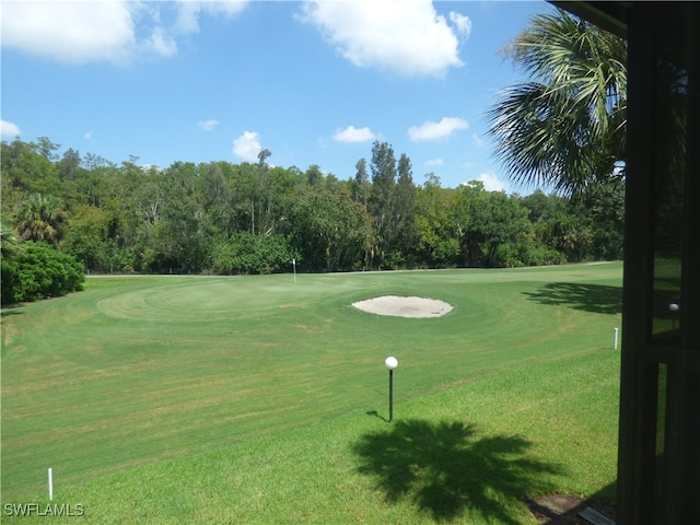 view of community featuring a yard