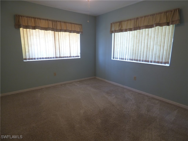 spare room featuring a wealth of natural light and carpet