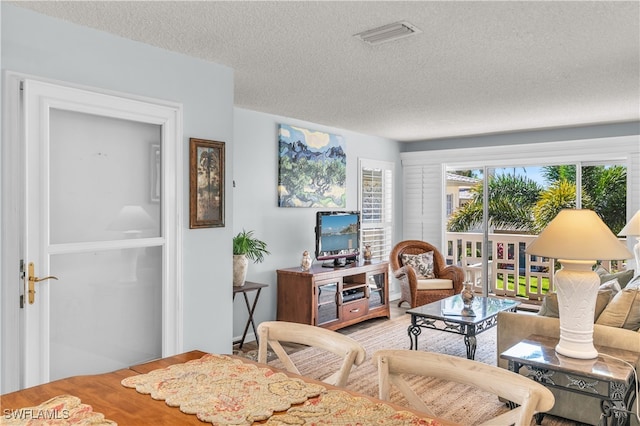 living room with a textured ceiling