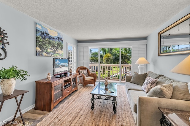 living room featuring hardwood / wood-style floors, plenty of natural light, and a textured ceiling