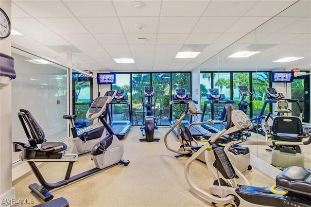 exercise room with a drop ceiling, expansive windows, and carpet floors