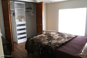 bedroom featuring dark wood-type flooring and a closet