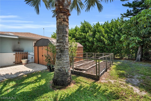 view of yard featuring a storage unit