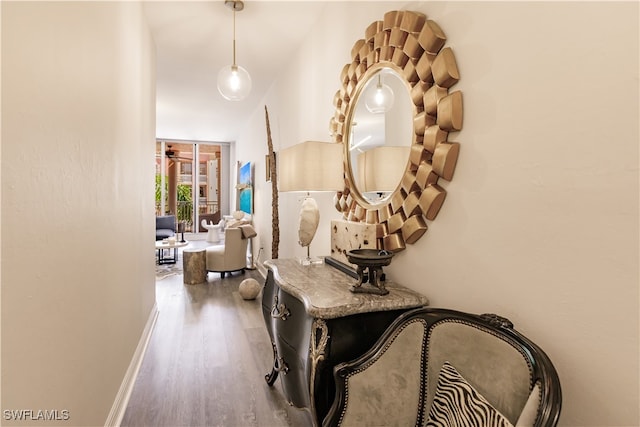 corridor featuring hardwood / wood-style flooring