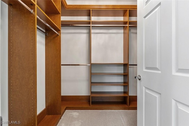 view of walk in closet