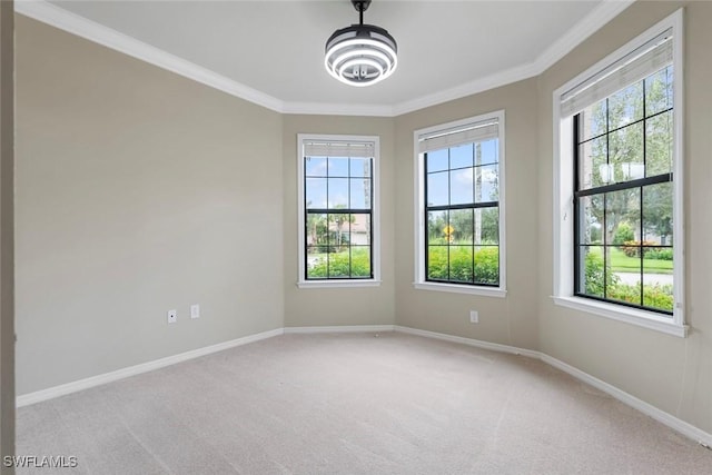 unfurnished room featuring light colored carpet and ornamental molding