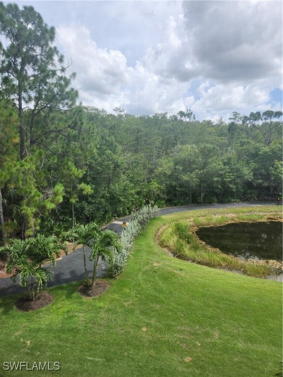 view of home's community with a lawn