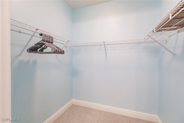 spacious closet with carpet flooring