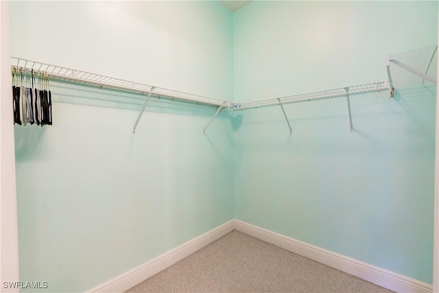 spacious closet featuring carpet flooring