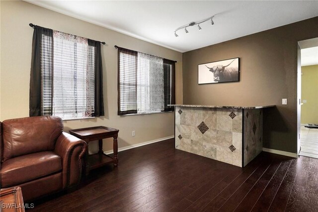 living area with dark wood-type flooring, rail lighting, and a wealth of natural light