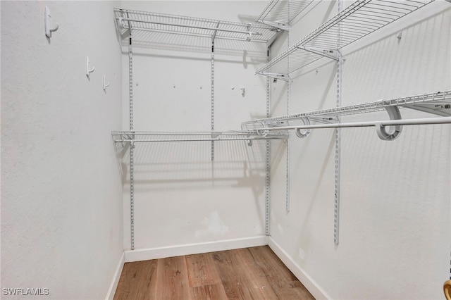 spacious closet featuring hardwood / wood-style flooring