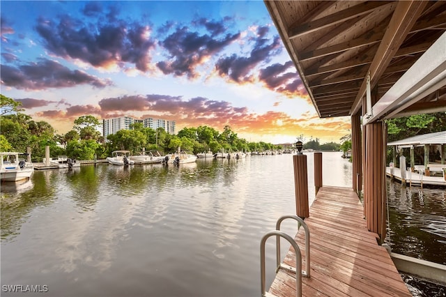 dock area with a water view