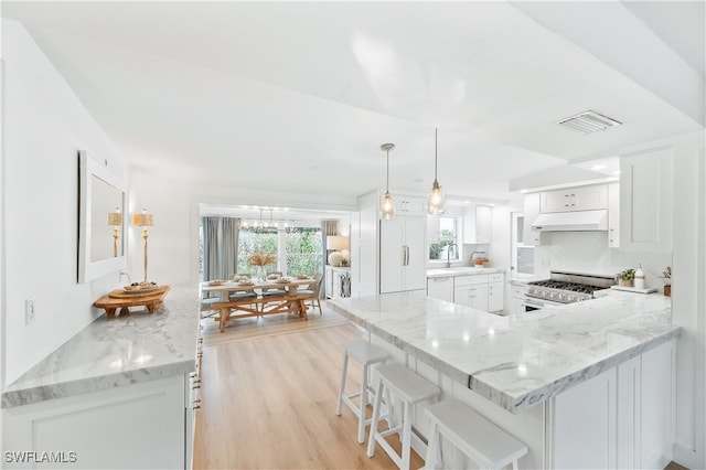 kitchen featuring decorative light fixtures, high quality appliances, tasteful backsplash, sink, and white cabinets