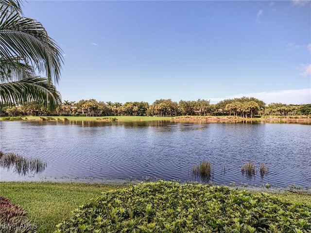 property view of water