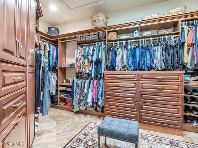 view of walk in closet