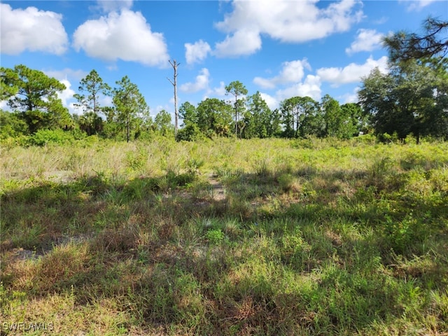 Listing photo 3 for 7932 4th Pl, Labelle FL 33935