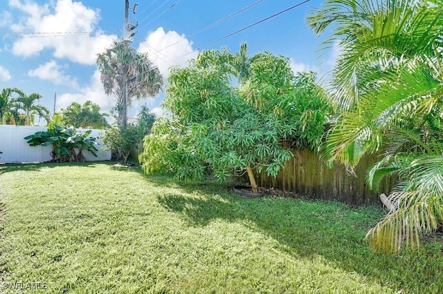 view of yard featuring fence