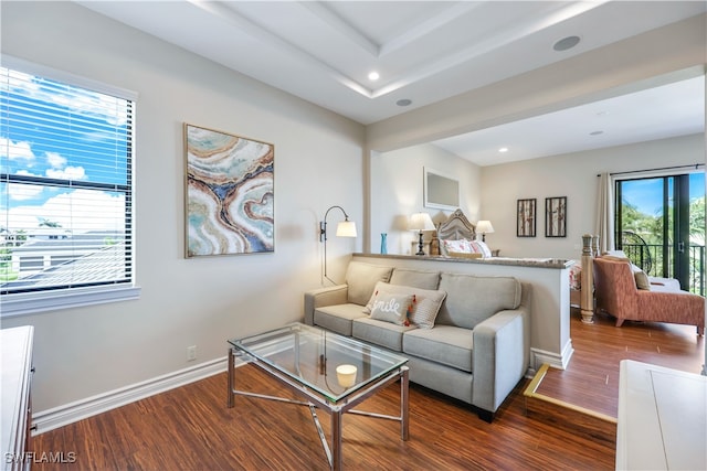 living room featuring dark hardwood / wood-style floors