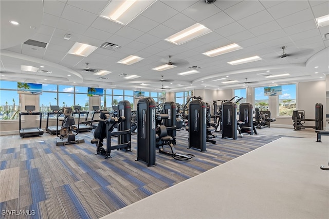 gym featuring ceiling fan, light carpet, and a paneled ceiling