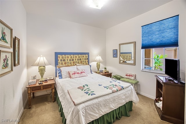 bedroom featuring carpet