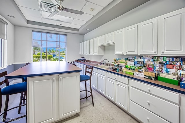 kitchen featuring white cabinetry, a breakfast bar area, a center island, and a raised ceiling