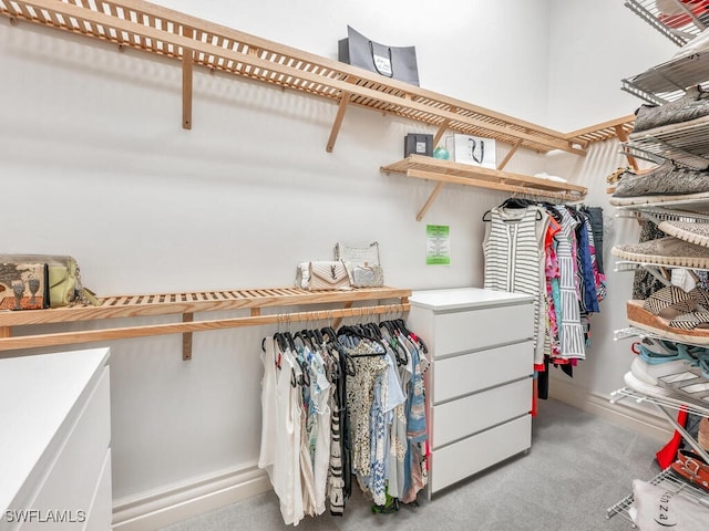 spacious closet with light colored carpet