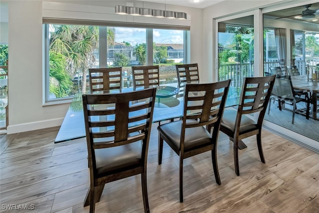 dining area featuring light hardwood / wood-style flooring and plenty of natural light