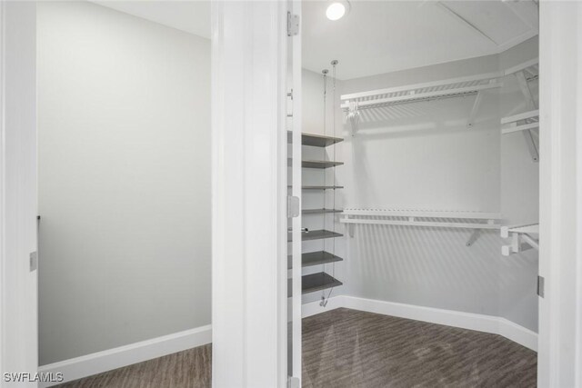 walk in closet with wood finished floors