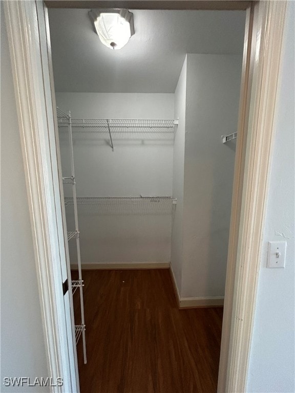 spacious closet with wood-type flooring