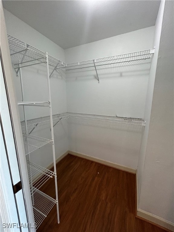 walk in closet with hardwood / wood-style floors