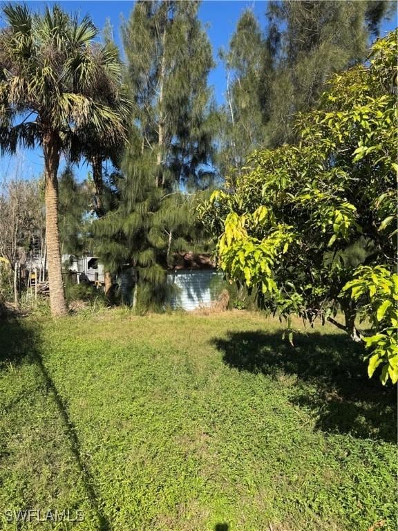 view of yard with a water view