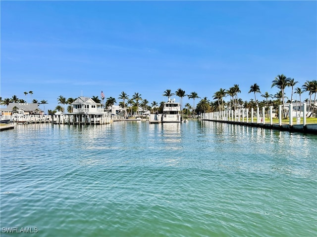 water view with a dock