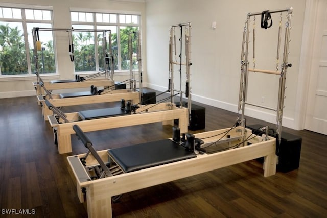 workout room with a healthy amount of sunlight and dark hardwood / wood-style flooring