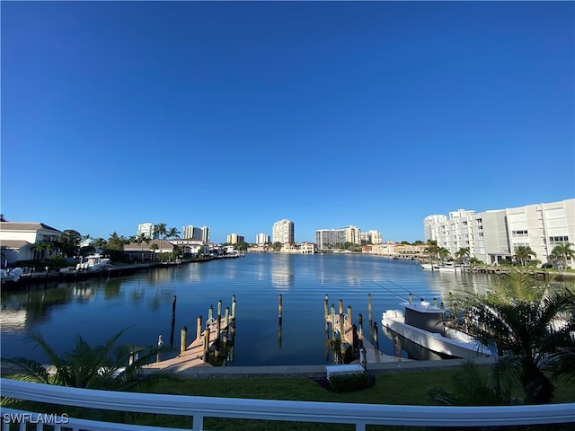 dock area with a water view