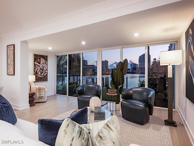 living room with floor to ceiling windows and light hardwood / wood-style flooring